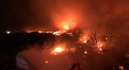 Incendios en Hawái obligan a ciudadanos a saltar al mar