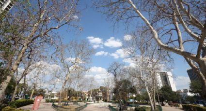 Se seca también la plaza 'La Purísima'; luce en abandono