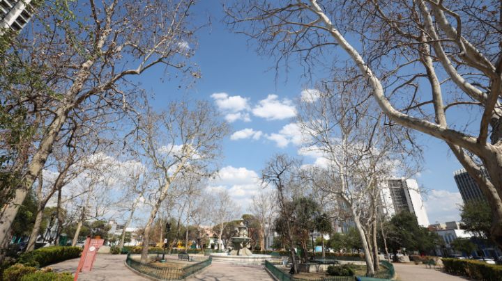 Se seca también la plaza 'La Purísima'; luce en abandono