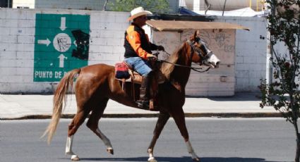 Se desvanece caballo durante cabalgata de Monterrey