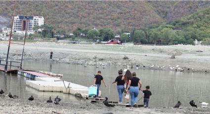 Alertan por fauna en riesgo ante sequía en presa 'La Boca'