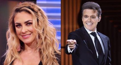 Luis Miguel era un deudor alimentario: Abogado de Aracely Arámbula