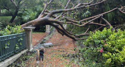 Supertifón Saola toca tierra en Hong Kong y provoca destrucción e inundaciones