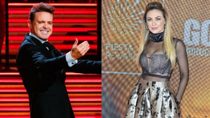 ¡Luis Miguel sí le paga a Aracely la manutención de sus hijos!; revelan prueba