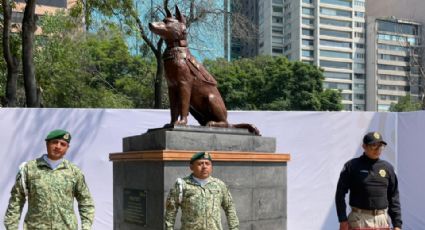 Sedena devela estatua de Proteo, perro rescatista