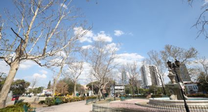 Con agua tratada, darán riego a árboles de la Alameda