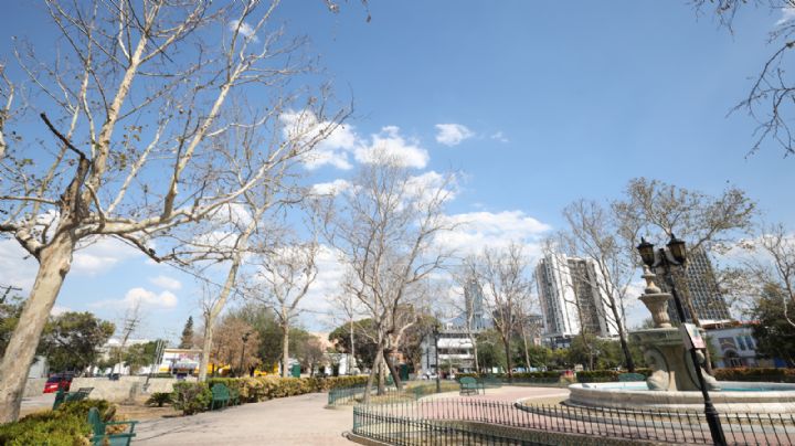 Con agua tratada, darán riego a árboles de la Alameda
