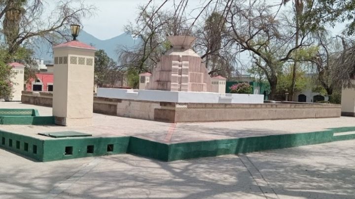 Intervendrán en Plaza del Chorro por árboles secos: Secretaría de Desarrollo