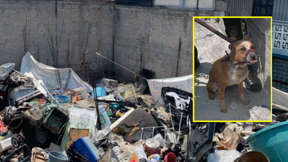 Lugar de donde fue rescatado el perrito.