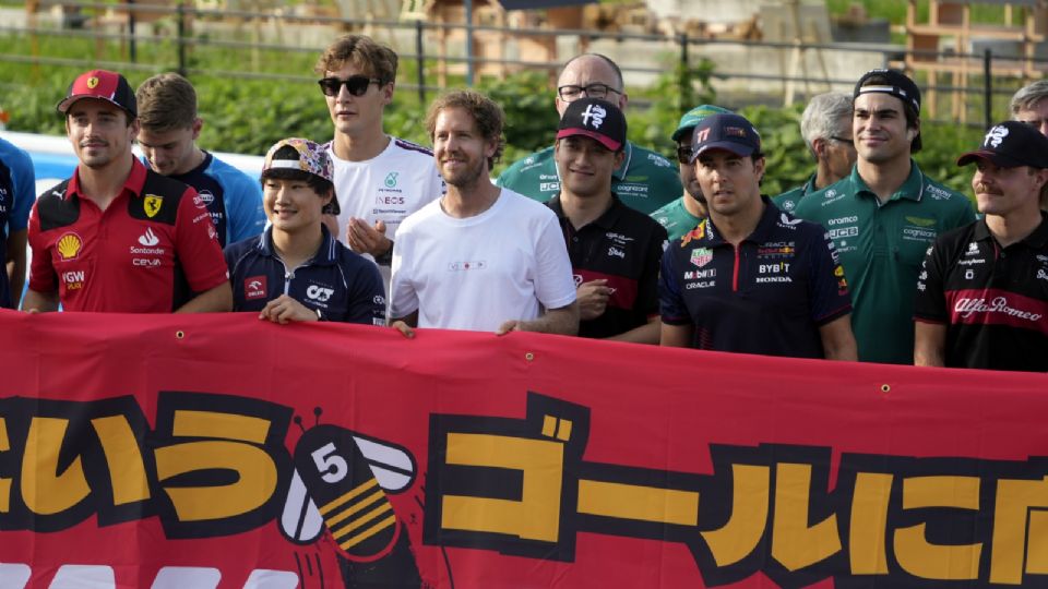 El expiloto alemán Sebastian Vettel, tetracampeón del mundo de F1, presentó en Suzuka, circuito en el que se disputa el Gran Premio de Japón, sus 'hoteles para abejas' que ha instalado, con la ayuda de un carpintero local.