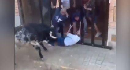 Toro embiste a hombre y lo mata durante fiesta en Valencia, España