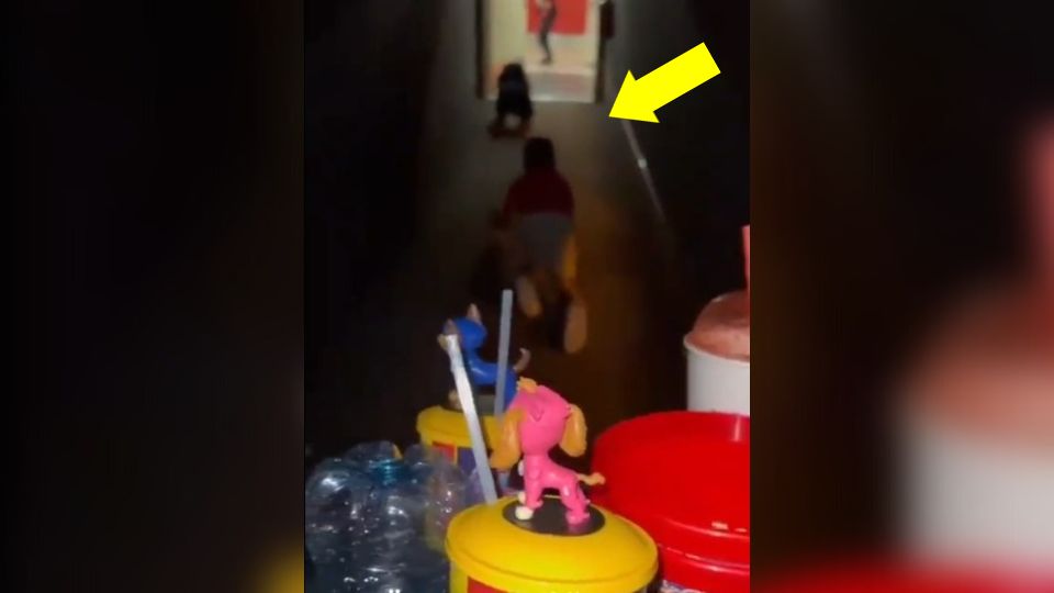 Niños actúan como perros al salir de sala de cine