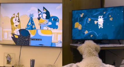 Bluey, la caricatura favorita de niños y de perritos, según este trend de TikTok