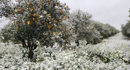 Cae agua nieve en Montemorelos ante bajas temperaturas en NL