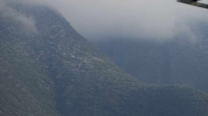 Montañas de NL se pintan de blanco por la caída de aguanieve