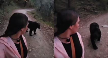 Video: Oso persigue a senderista en camino desolado de Parque Chipinque