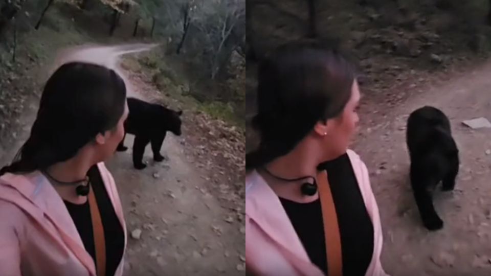 Mujer es perseguida por oso en Chipinque