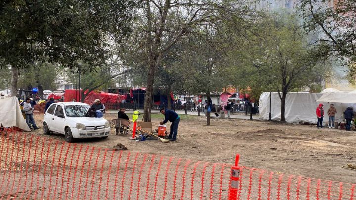 Tala de árboles enfermos y reforestación en La Alameda se estanca