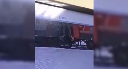 Hallan muerto a gatito desaparecido en tren de Rusia; trabajador lo sacó a la nieve