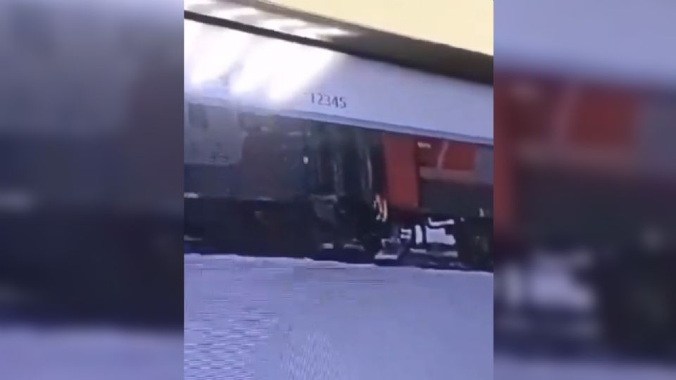 Trabajador arroja a gatito de un tren en Rusia