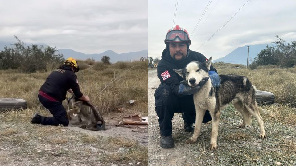 Momento en que el perrito fue rescatado del interior de la alcantarilla.