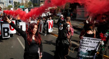 Regreso de corridas de toros desata manifestaciones y caos en CDMX