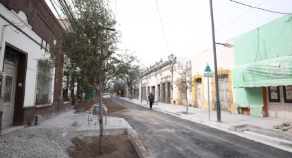 Comienzan a plantar árboles en corredor verde de Modesto Arreola, en Monterrey