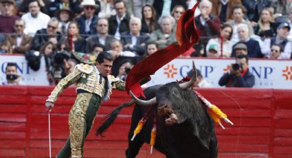 Vuelven a suspender corridas de toros; Plaza México impugna decisión