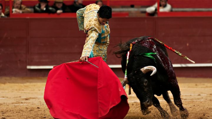 Frenan, otra vez, corridas de toros en la Plaza México