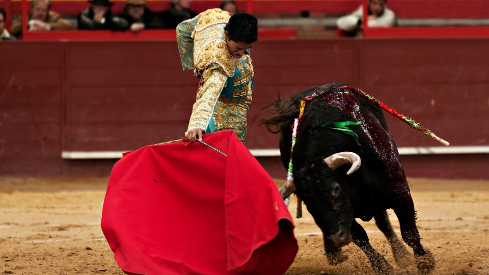 Ordenan nueva suspensión hacia corridas de toros en la Plaza México