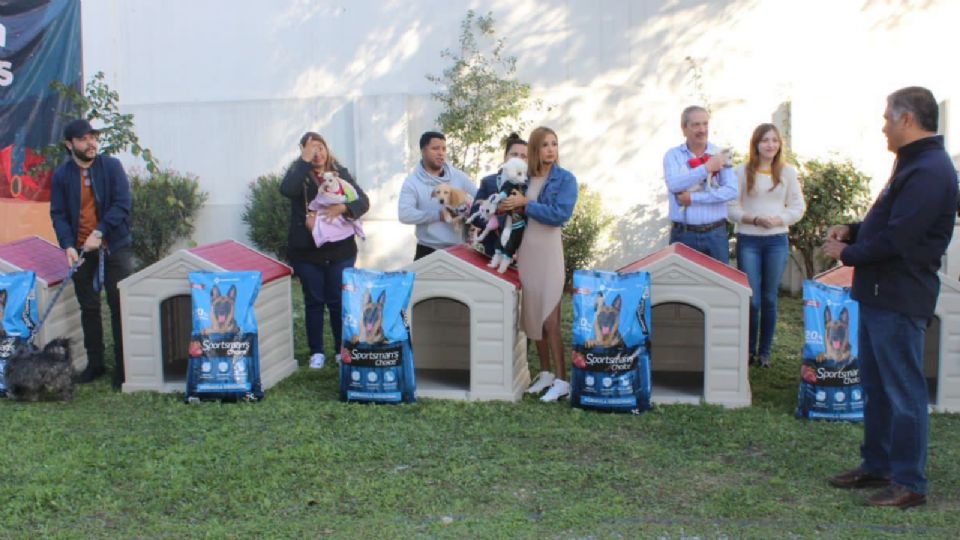 Casas de resguardo y comida para perritos rescatados.