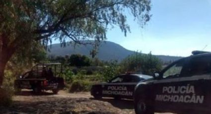 Perro encuentra 2 cadáveres en Michoacán; llega a casa con una mano entre sus dientes