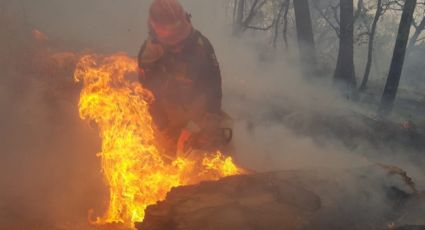 Incendios forestales acecharán a Nuevo León hoy lunes