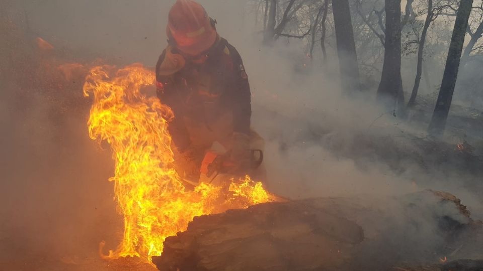 Incendios forestales siendo atendidos por bomberos de Nuevo León | Facebook / Protección Civil de Nuevo León