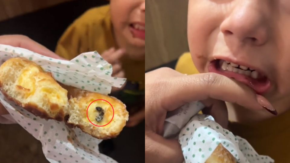 Abeja pica a niño que se disponía a comer pan