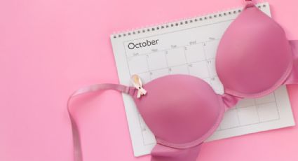 No Bra Day: ¿De dónde viene esta peculiar efeméride y cuál es la intención?