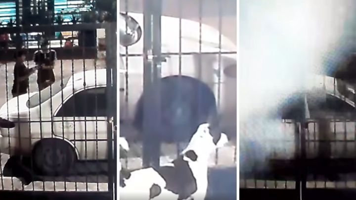 Video: Exhiben a menores aventando cohete a perrito en Escobedo