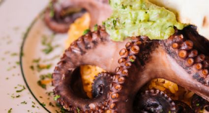 5 recetas sencillas con pulpo que sorprenderán a tu familia | Ingredientes y precios