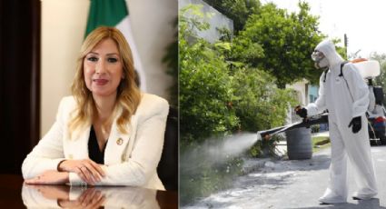 Alma Rosa Marroquín 'analizará la declaratoria de emergencia sobre el dengue'