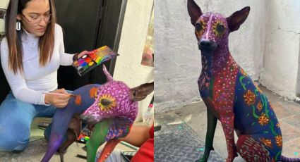 Pintan a perrita xoloitzcuintle previo a Día de Muertos y causan preocupación en redes