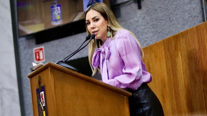 Diputada Perla Villarreal urge a divulgar Alertas Amber en celulares