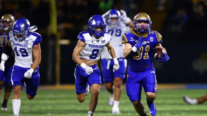 Auténticos Tigres domina a Borregos Puebla y jugará la Final de la ONEFA
