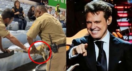 Video: Sacan a enorme iguana del concierto de Luis Miguel en Tamaulipas