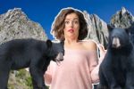 Todo lo que necesitas saber sobre los osos negros en Nuevo León