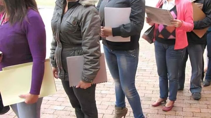 Registra México menor desempleo en OCDE