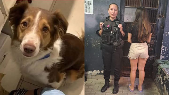 Detienen a mujer que dejó morir a su perro encerrado dentro de su auto en Argentina