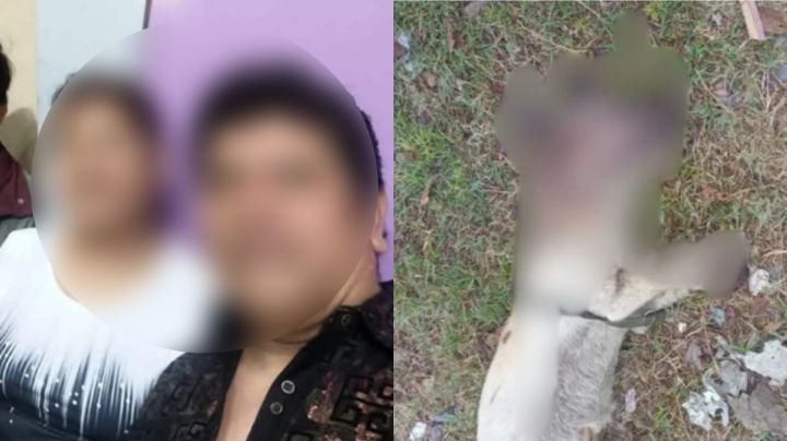 Identifican a familia de taqueros involucrada en asesinato de perrito en Apodaca
