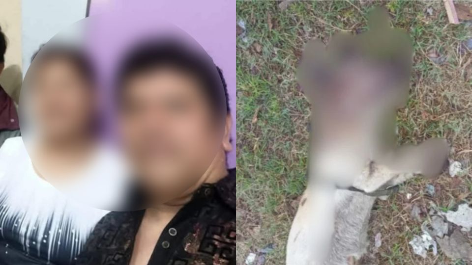 Usuarios identifican a taqueros que estarían detrás de la muerte de perrito en Apodaca