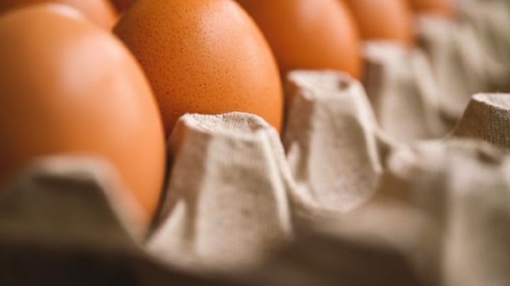 Supermercado retira huevos orgánicos por riesgo de salmonela en EU