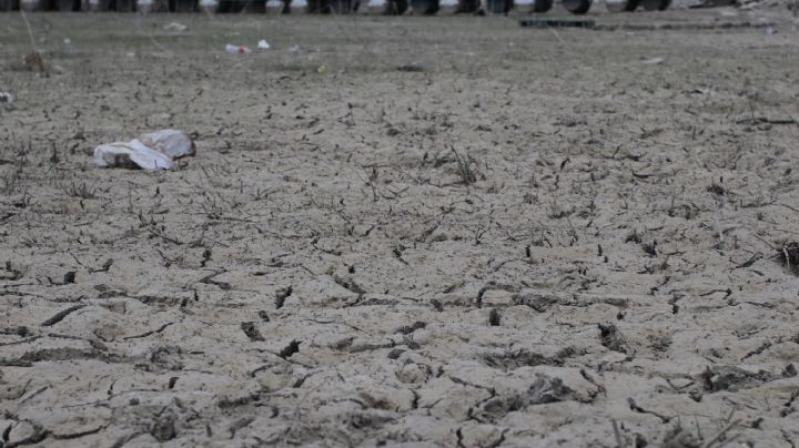 Cuatro municipios de Nuevo León enfrentan una sequía moderada: Conagua